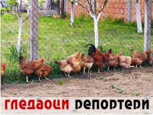 Гледаоци репортери (30. април 2021)