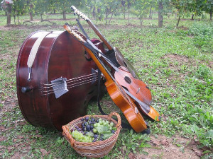 Тамбурица златна жица 