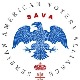 Одржан вебинар  организације САВА