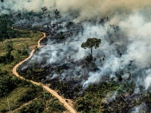 Индијанци Амазоније и борба за очување прашума
