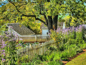  Добро јутро децо - Чаробно двориште 