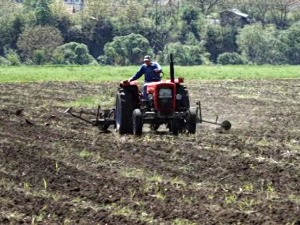 Сетва касни, али домаћини се надају берићетној години