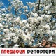 Гледаоци репортери (8. мај 2021)