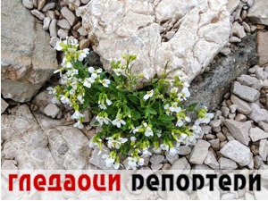 Гледаоци репортери (11. мај 2021)