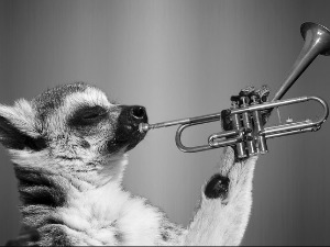 	Зоо симфонија: Змајеви 