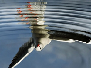  Добро јутро децо - Ружно огледало 