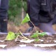 Економија пољопривредне школе