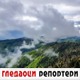 Гледаоци репортери (18. мај 2021)