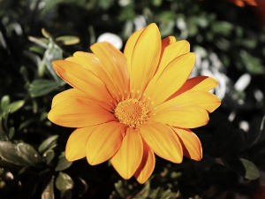 	Добро јутро децо - Радио Невен, 3. део