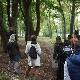 У Арборетуму Шумарског факултета одржано перформанс-предавање Владимира Бјеличића