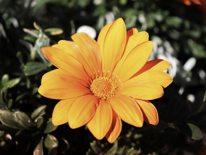 Добро јутро децо - Радио Невен, 6. део 