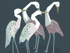  Добро јутро децо - Побуна птица селица 