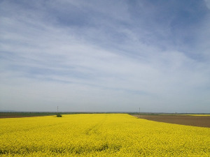 	Фолдер Србија: Прва биоскопска представа 