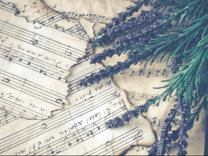 Свирај свирче