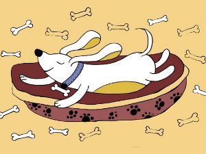 Добро јутро децо - Шифра „Лептир“