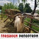 Гледаоци репортери (2. јун 2021)