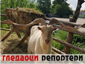 Гледаоци репортери (2. јун 2021)
