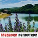 Гледаоци репортери (6. јун 2021)