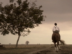  1001 Траг - Синоћ ми драги долази - Душица Билкић 