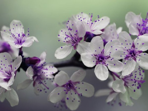  Добро јутро децо - Прољетна пјесма 