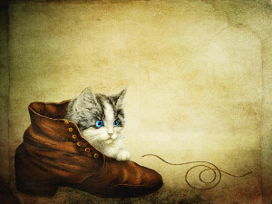 	Радио драма: Мачак у чизмама, 6. део 