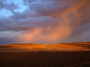 Ујутру сунчано, поподне понегде пљускови и грмљавина - променљиво време до уторка