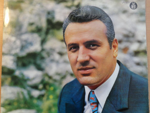 Медаљон - Гвозден Радичевић