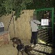 Ухапшен мушкарац у Крагујевцу, сумња се да је мучио и убијао псе у свом центру за обуку