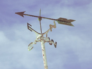  Добро јутро децо - Провера храбрости 