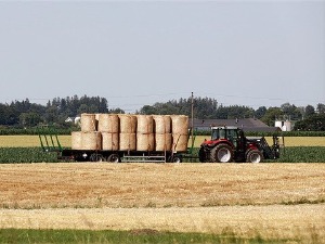 Припреме за жетву озимих усева