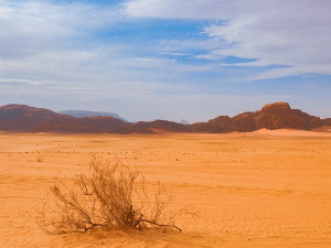  Добро јутро децо - Гладни кафтан 