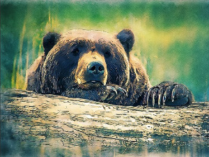  Добро јутро децо - Медведић Дуле 