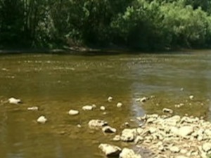 Трагедија на Западној Морави код Чачка, рониоци извукли тело дечака из реке