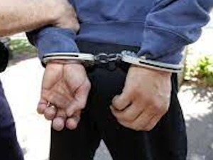 Акција "Субвенција" - ухапшено седам званичника министарства пољопривреде у Приштини