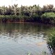 Деветогодишња девојчица утопила се код Кикинде