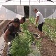 Општина Житорађа, пример шта се све може уз подстицај државе