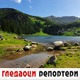 Гледаоци репортери (4. јул 2021)
