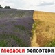 Гледаоци репортери (7. јул 2021)