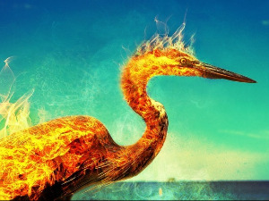 	Клик: Митолошки речник: Јабука