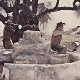 Повратак седморице величанствених