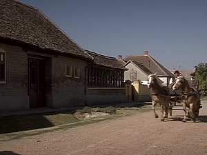  1001 Траг - Кад сретнеш Ханку - Сафет Исовић 