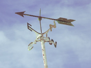 Добро јутро децо - Провера храбрости