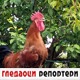 Гледаоци репортери (15. јул 2021)