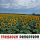 Гледаоци репортери (19. јул 2021)