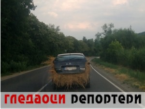 Гледаоци репортери (20. јул 2021)