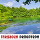 Гледаоци репортери (21. јул 2021)