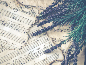  Свирај свирче - Бас прим 