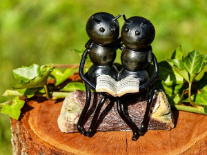  Добро јутро децо - Вриједни мравко 