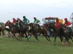 Више од 90 грла на 10. Шабачким коњичким свечаностима