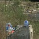 Зашто је уклањање смећа са река и обала Сизифов посао?